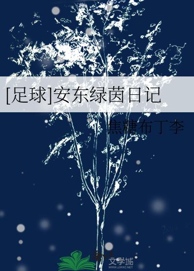 足球安东绿茵日记小说